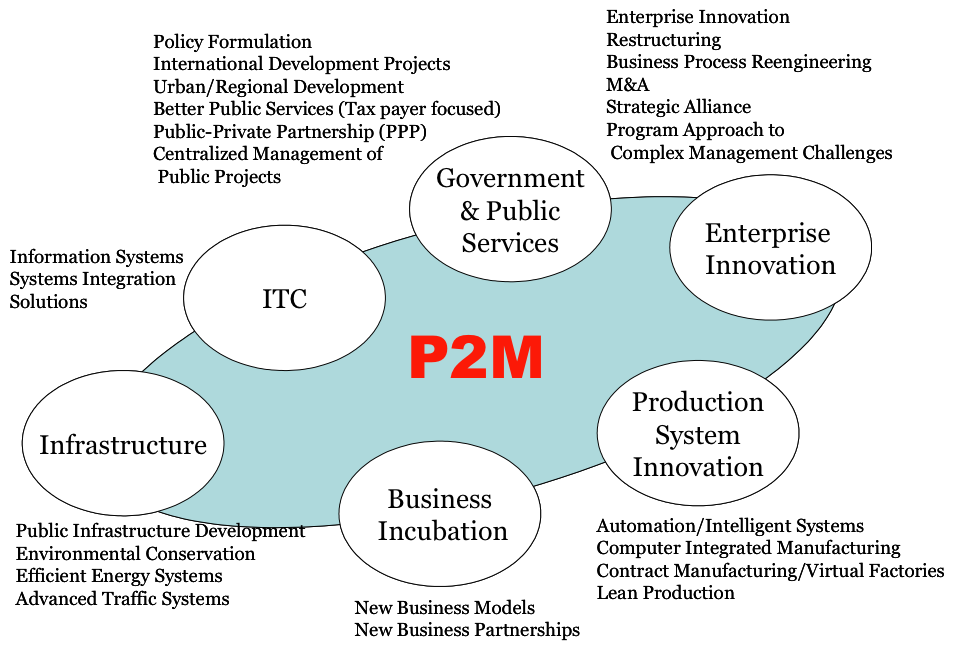Структура методологии P2M