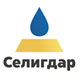 ГК «Проектная ПРАКТИКА» внедряет проектное управление в ПАО «Селигдар»